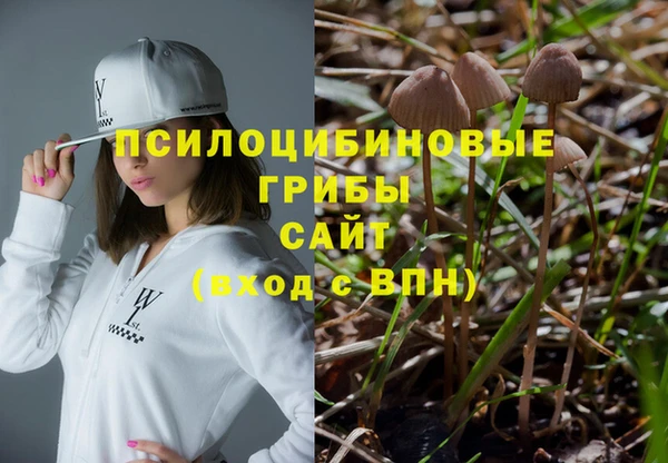 скорость mdpv Кинешма