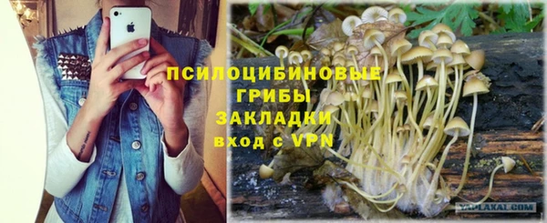 скорость mdpv Кинешма